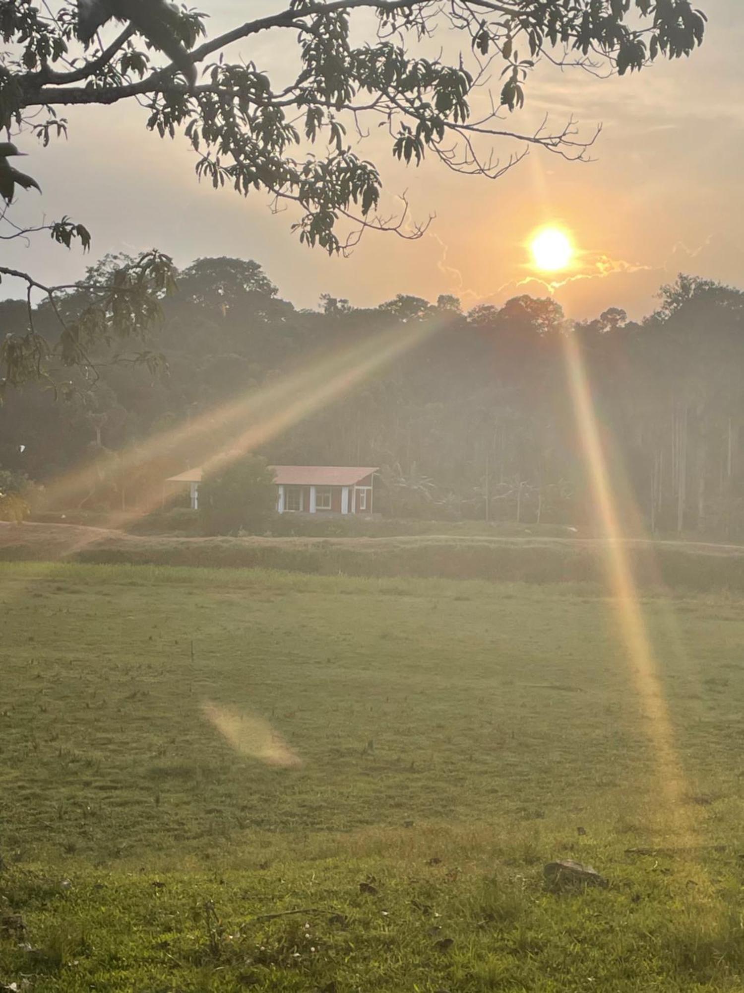 Lake Ripples - Farmstay & Camping Ponnampet Buitenkant foto