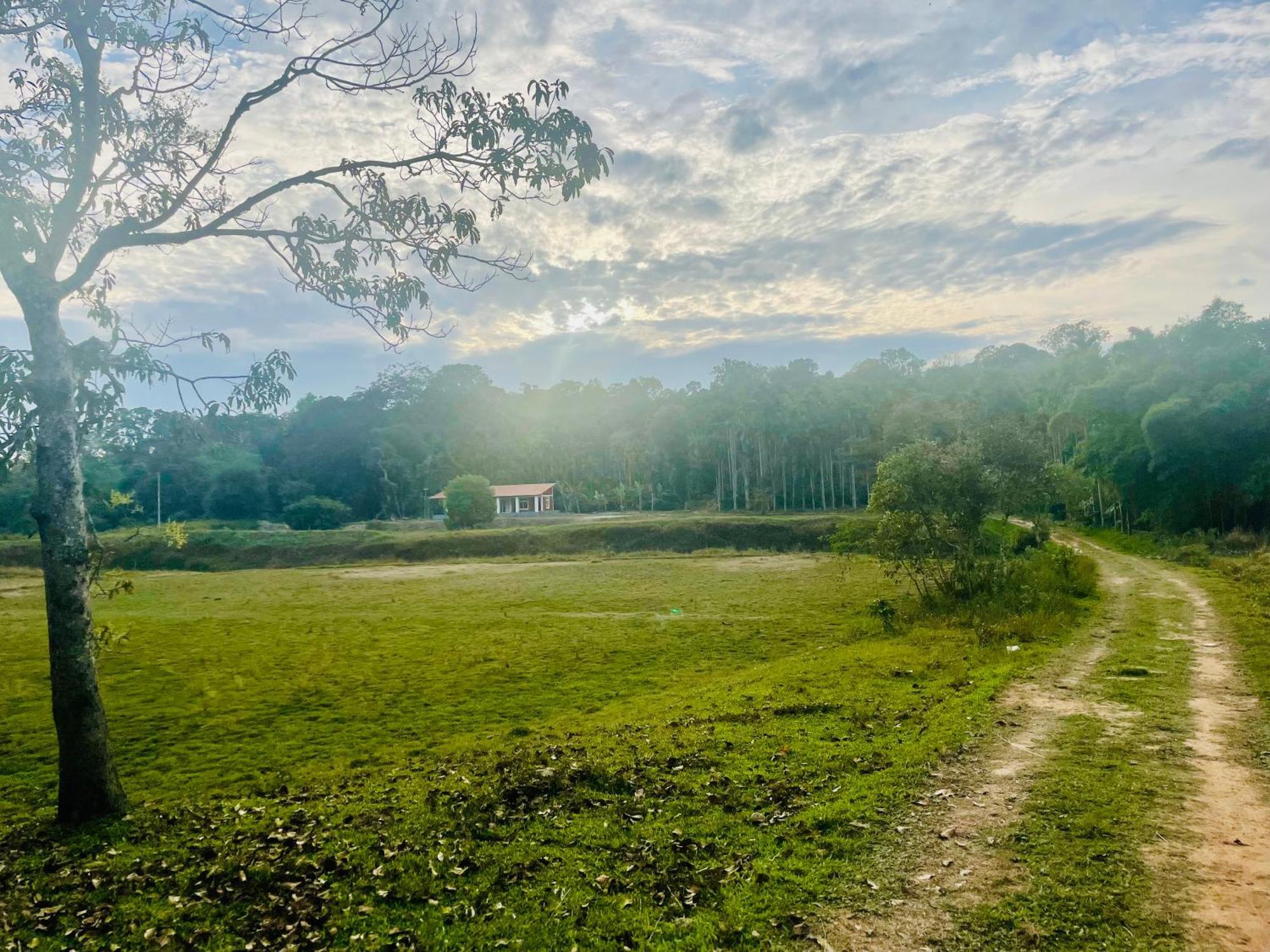 Lake Ripples - Farmstay & Camping Ponnampet Buitenkant foto